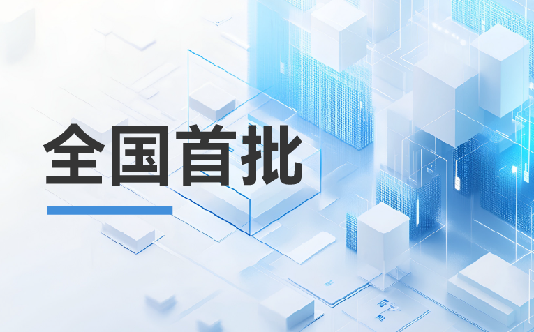 全國(guó)首批！龍由信息榮升為華為分銷(xiāo)鉆石伙伴，助力中小企業(yè)躍升智能化